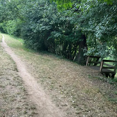 Dans Ecrin De Verdure *